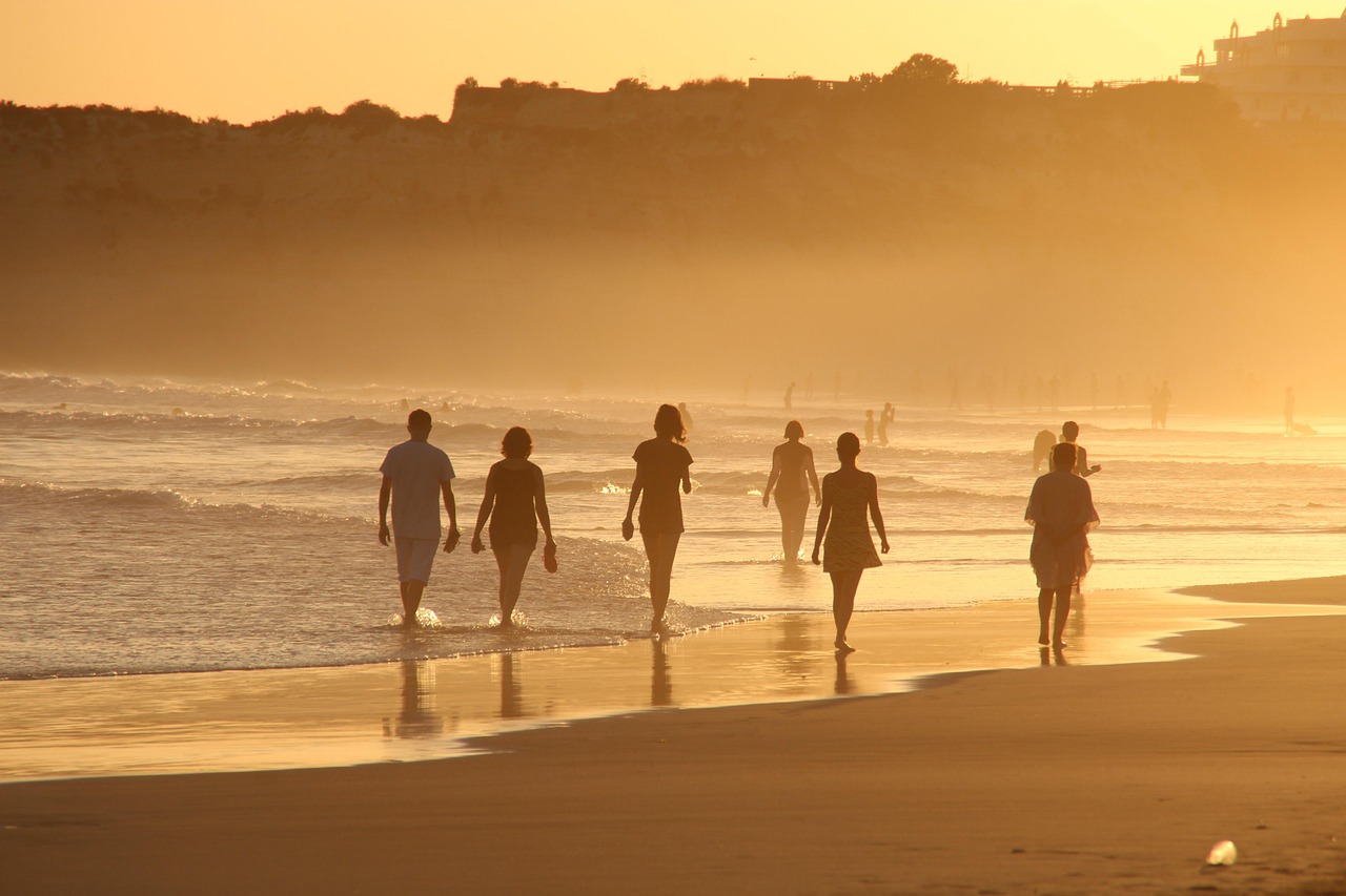 A peaceful walk along the shore